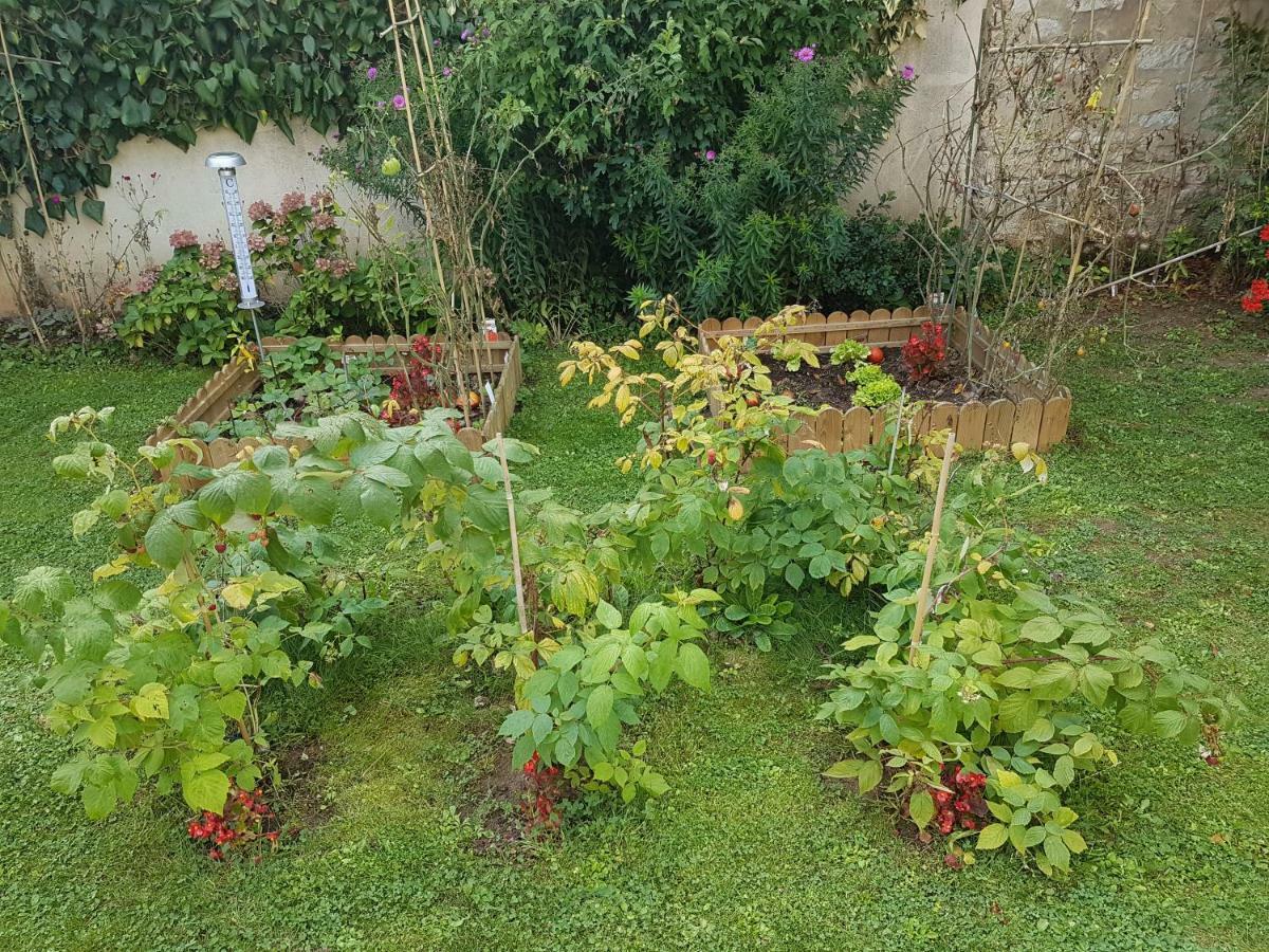 La Montignonne Leilighet Montigny-sur-Loing Eksteriør bilde