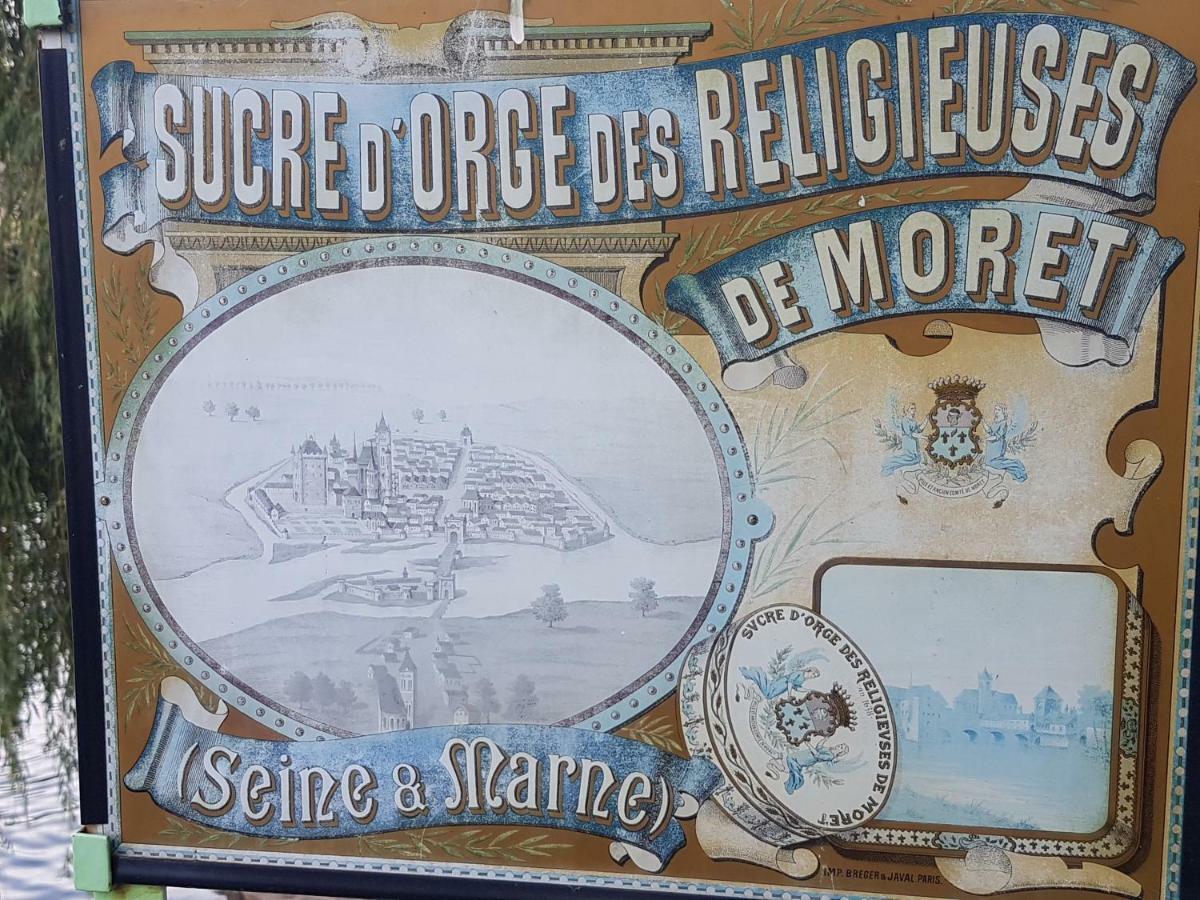 La Montignonne Leilighet Montigny-sur-Loing Eksteriør bilde